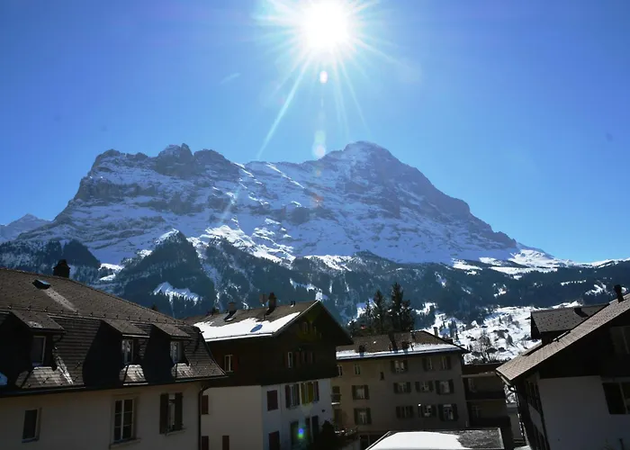 Delightful 4star Kiwi * Grindelwald