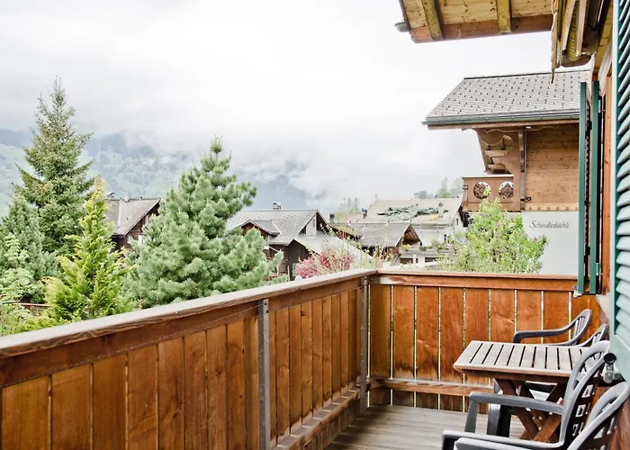 Daire Delightful 4star Kiwi Grindelwald