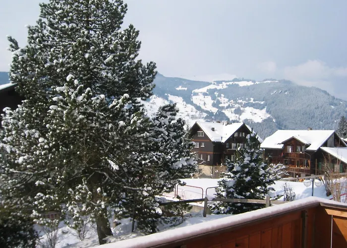 Daire Delightful 4star Kiwi Grindelwald