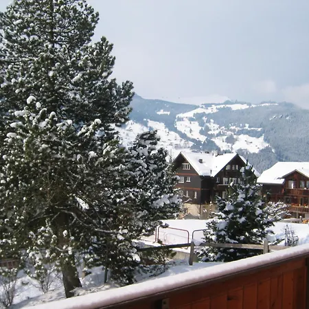 Appartement Delightful 4star Kiwi Grindelwald